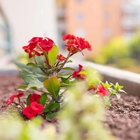 Prime Homes Teide Gardens Lejlighed Puerto de la Cruz (Tenerife)