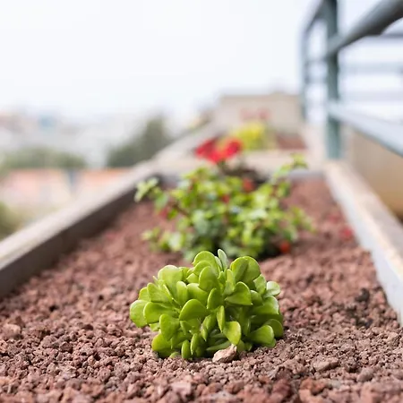 Appartement Prime Homes Teide Gardens Puerto de la Cruz (Tenerife)